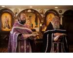 2018 February 25. Sunday of Orthodoxy.